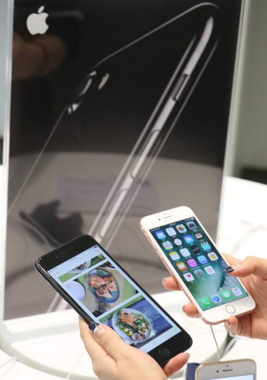 애플이 국내 온·오프라인 유통점을 통해 아이폰7 시리즈를 정식으로 출시한 21일 오전 서울 중구 명동 프리스비 명동점에서 한 고객이 단말기를 확인하고 있다.